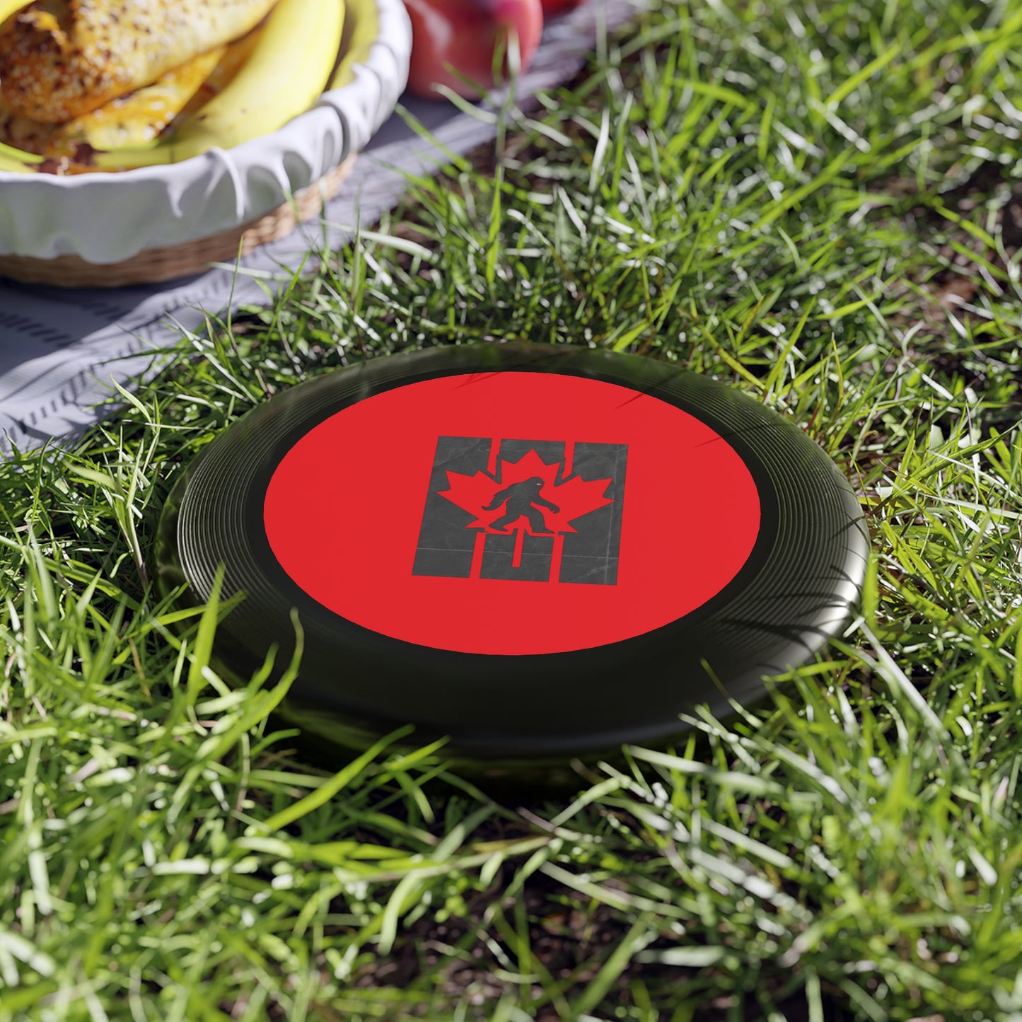 Wham-O Frisbee